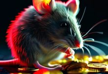 紧急曝光：百域量化骗局崩塌实录——42亿资金池蒸发，AI炒股竟是后台手动改数-骗局曝光网