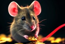 税安宝是骗局吗?我们做了深度调查-骗局曝光网