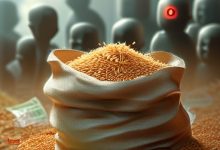米袋计划深度调查:188亿交易额背后,连公司都查不到注册信息-骗局曝光网
